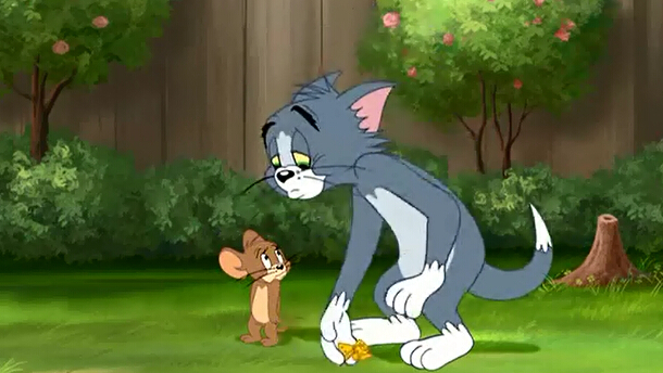 猫和老鼠传奇5 720p迅雷,儿童啦网