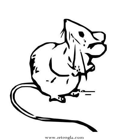 12生肖怎么画成一幅画