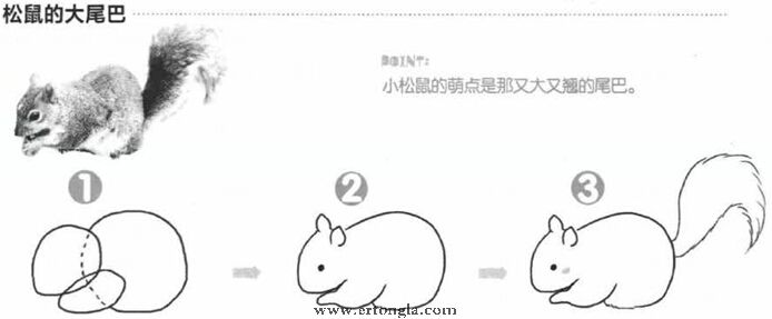 松鼠简笔画怎么画
