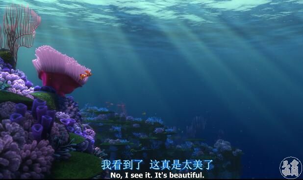 海底总动员中英文迅雷下载