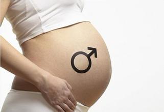 胎教音乐之-夏打包下载