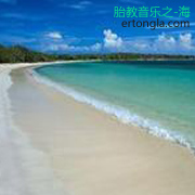 胎教音乐之-海MP3打包下载